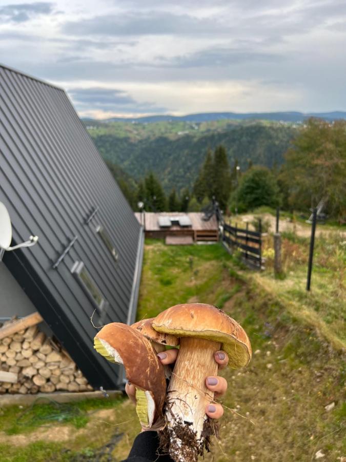 Nordik Cabin - Aframe With 2 Bedrooms Mărişel Exterior foto